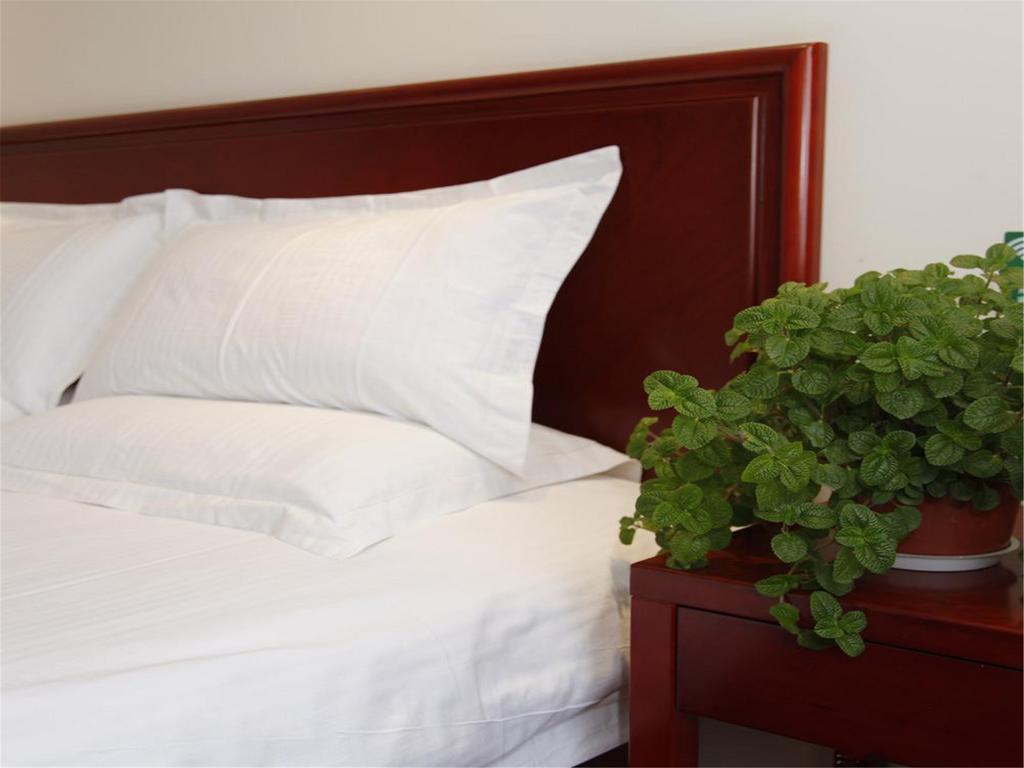 Greentree Inn Shanghai Dongming Road Subway Station Express Hotel Esterno foto